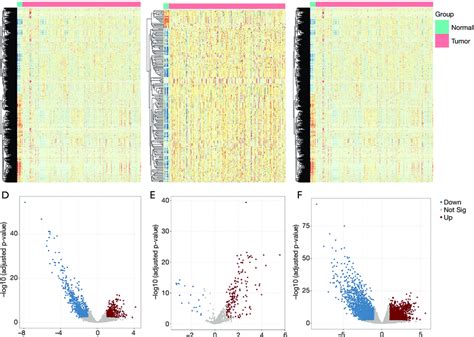 Differential Expression Analysis Of Lncrnas Mirnas And Mrnas A Download Scientific Diagram