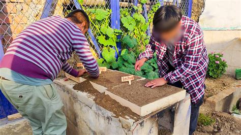 SOA Huaraz promueve actividades agrícolas en favor de adolescentes