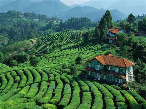 Step Back In Time With Top Historical Places To Visit In Ooty