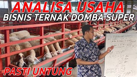 Analisa Bisnis Ternak Domba Super Untung Besar Sistem Kemitraan Ala