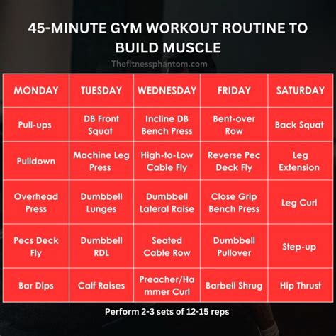 45 Minute Gym Workout Routine 5 Days A Week W PDF The Fitness Phantom