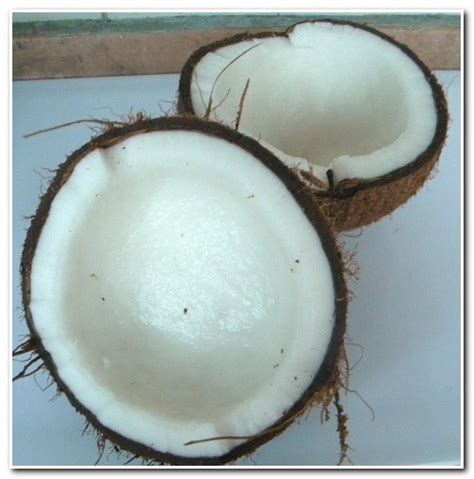 como abrir  ralar  coco