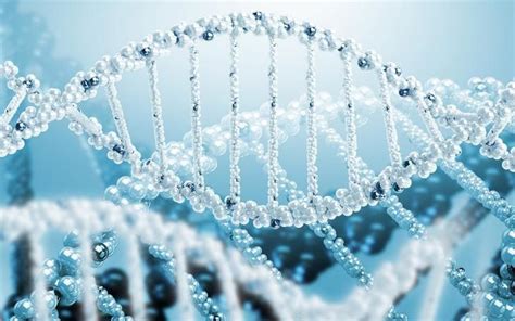 структура днк | Dna, Genetics, Biology