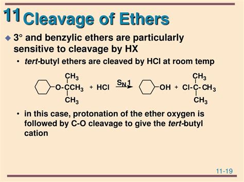 Ppt Organic Chemistry Powerpoint Presentation Free Download Id5525069