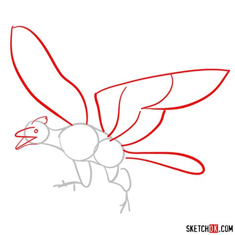 How To Draw An Archaeopteryx Sketchok Easy Drawing Guides