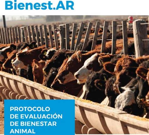 El IPCVA y el INTA presentaron el protocolo de evaluación de bienestar