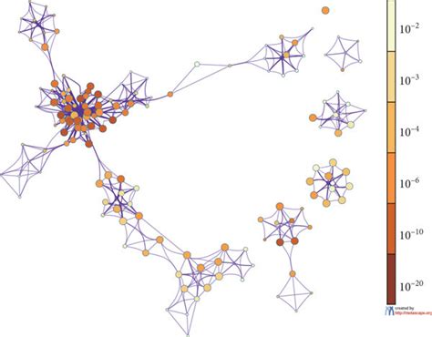 Deg And Neighbouring Gene Enrichment Analysis In Coad Using Metascape