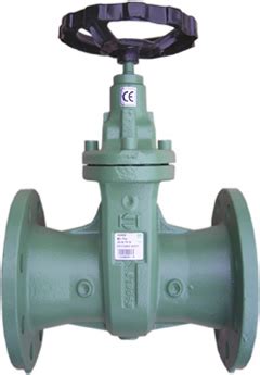 Gate Valve Gg Cast Iron Body Graphite Dn Flanges Gn