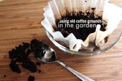 5 Fun Ways To Use Coffee Grounds In The Garden Artofit