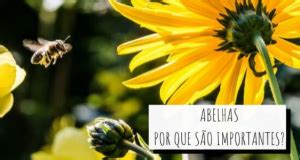 Abelhas Por Que S O Importantes Lignum Ambiental Jr