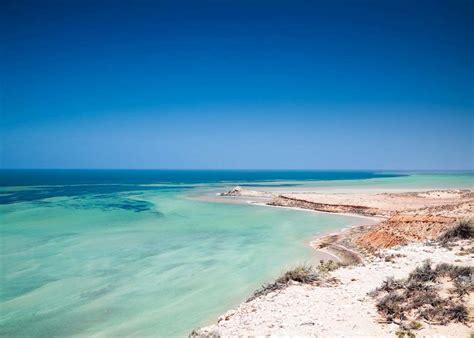 Visit Shark Bay On A Trip To Australia Audley Travel Uk