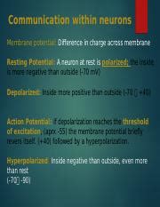 Bb Exam Review Slides Pptx Communication Within Neurons Membrane