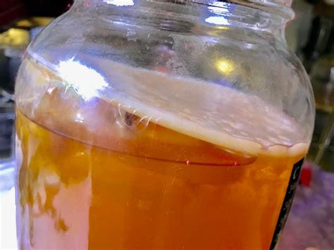 How to Grow a SCOBY : 4 Steps (with Pictures) - Instructables