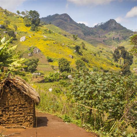 Usambara Berge Kaffeeplantagen In Reizvoller Landschaft