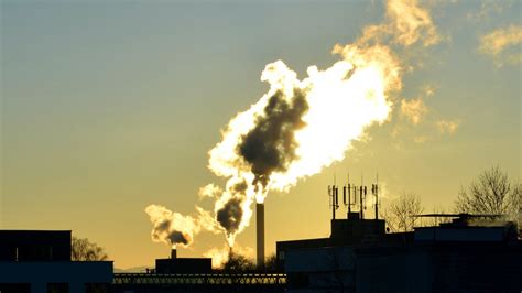 Incineration: Advantages and Disadvantages - Environment Co