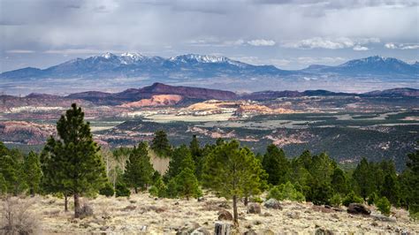 National Forest Dixie National Forest