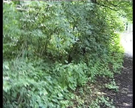 Vintage Retro Duitse Amateur Je Dagelijkse Dosis Porno XHamster