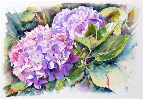 Aquarelle Hortensia Peintures De Fleurs Abstraites Art Floral