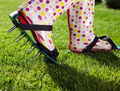 How to Get Rid of Brown Patch Disease on Grass - Backyard Boss