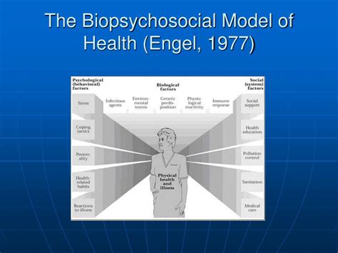 Engel Biopsychosocial Model