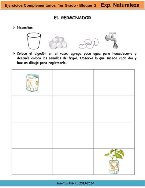 1er Grado Bloque 2 Ejercicios Complementarios Pdf