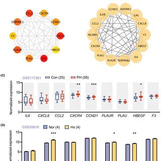 Identification Of Proliferation Associated Hub Genes And Validation In