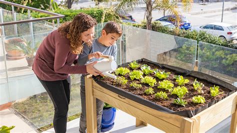 Huertos Urbanos En Casa Trucos Para Cultivar Tus Propios Alimentos