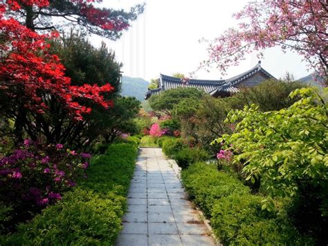 1000+ images about Korean Garden on Pinterest | Gardens, Incheon and ...