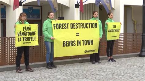 Protest împotriva urşilor organizat în Covasna Oamenii cer măsuri noi