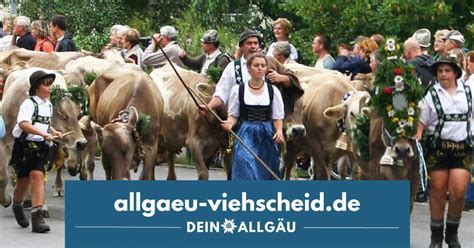 Viehscheid Oberstaufen Almabtrieb im Allgäu Viehscheid Allgäu