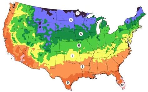 When to Start your Garden Factoring the Last Frost Date