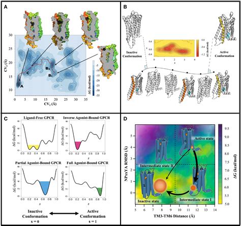 Frontiers Metadynamics Simulations Leveraged By Statistical Analyses