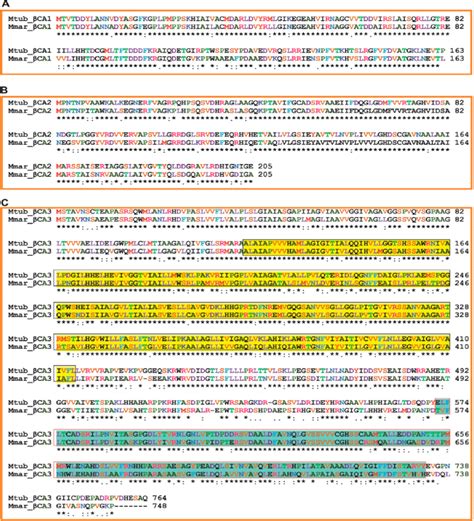 Alignment of the Mtb and Mmar β CA protein sequences Conserved amino