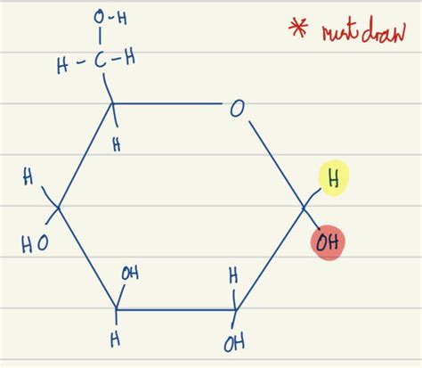 As Biology Biological Molecules Flashcards Quizlet