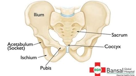 Complications Related to Pelvic Fractures