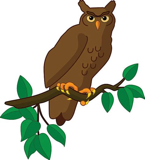 Top 60 Great Horned Owl Clip Art Vector Graphics And Illustrations