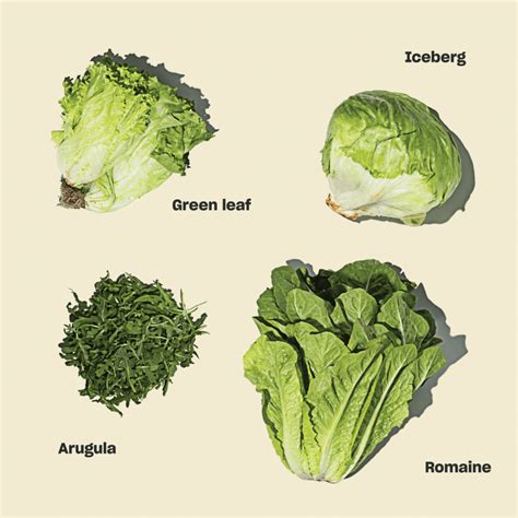 Not Just For Salads Everything You Need To Know About Lettuce