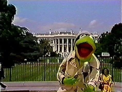 Reporter Kermit | Kermit, The muppet show, Kermit the frog