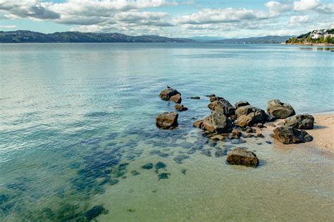 13 Best Beaches In Wellington New Zealand A Complete Summer Guide