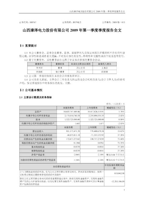 漳泽电力：2009年第一季度报告