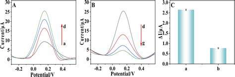 A Novel COOHGOCOOHMWNT PDA AuNPs Based Electrochemical Aptasensor