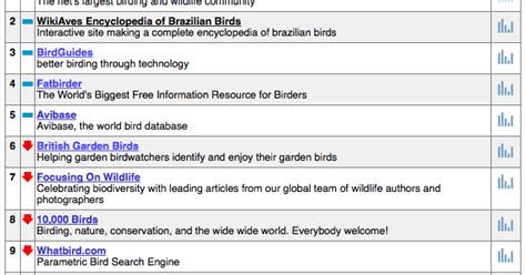 Penny S Hot Birding And Life Highest Ranking To Date
