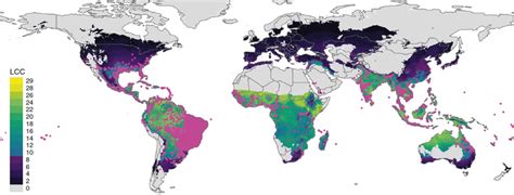 Aedes aegypti distribution worldwide. The map indicates the total ...