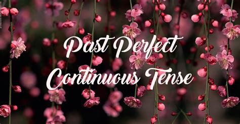 Materi Rumus Dan Contoh Kalimat Past Perfect Continuous Tense Siap