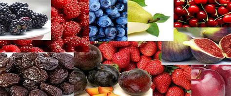 Highest Antioxidant Fruits List – Survival Fanatics