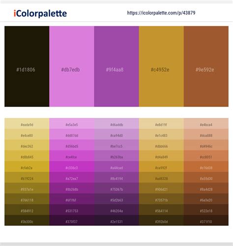 1 Latest Color Schemes with Orchid And Marigold Color tone combinations ...