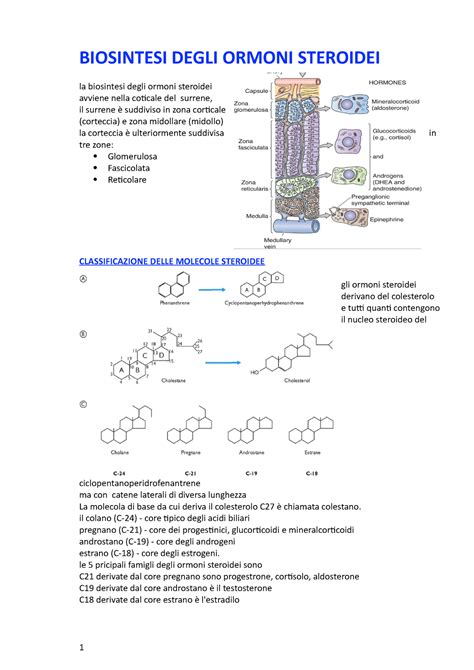 Biosintesi Degli Ormoni Steroidei Biosintesi Degli Ormoni Steroidei