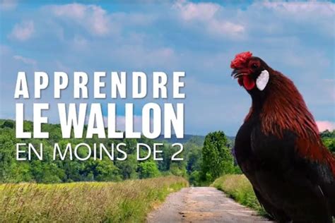 Apprendre Le Wallon En Moins De 2 Lavenir