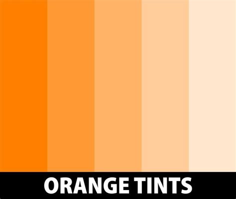 Discover the Beauty of Orange Shades