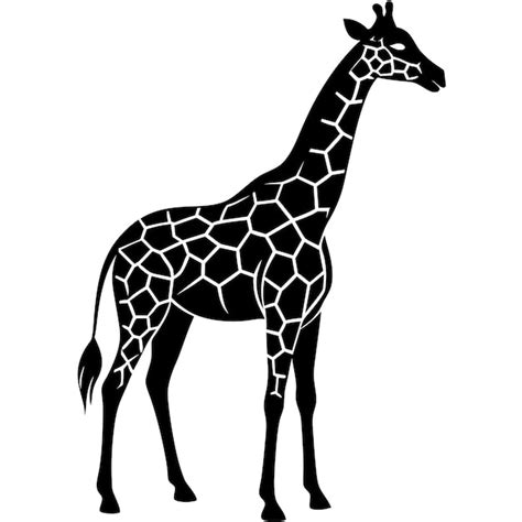 Premium Vector One Giraffe Silhouettes Vector Illustration